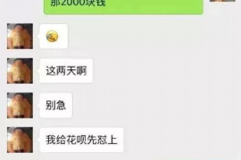 蔡甸贷款清欠服务